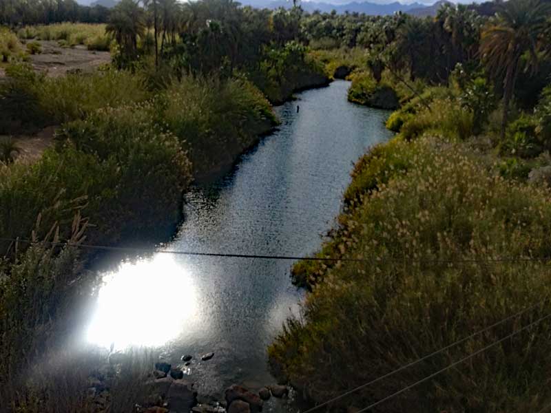 Mulege-River2